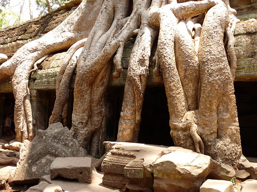 Ta Prohm, the Tomb Raider temple