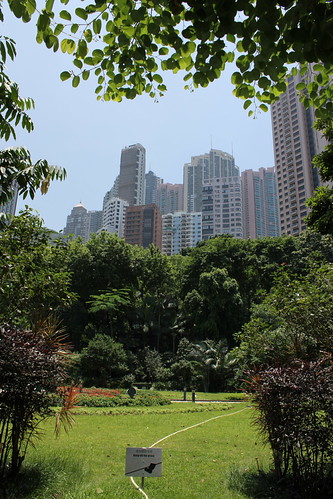 View from the Botanical Gardens looking up at the Mid-Levels